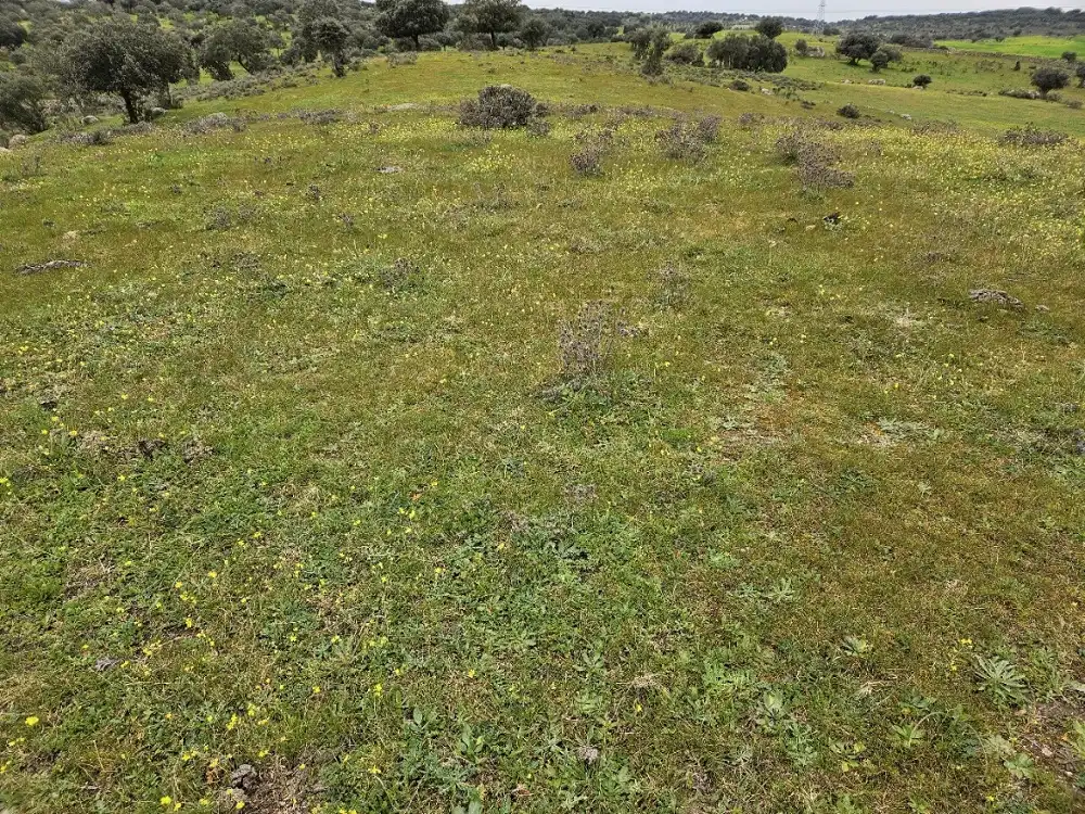 Terreni e lotti in vendita a Navas del Madroño, imagen 6