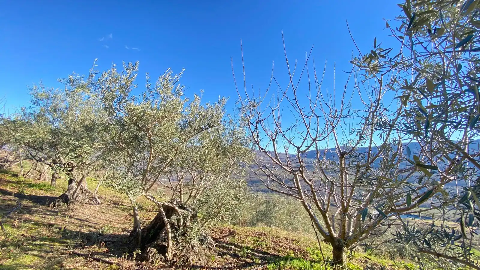 Terreni e lotti in vendita a El Torno, imagen 4