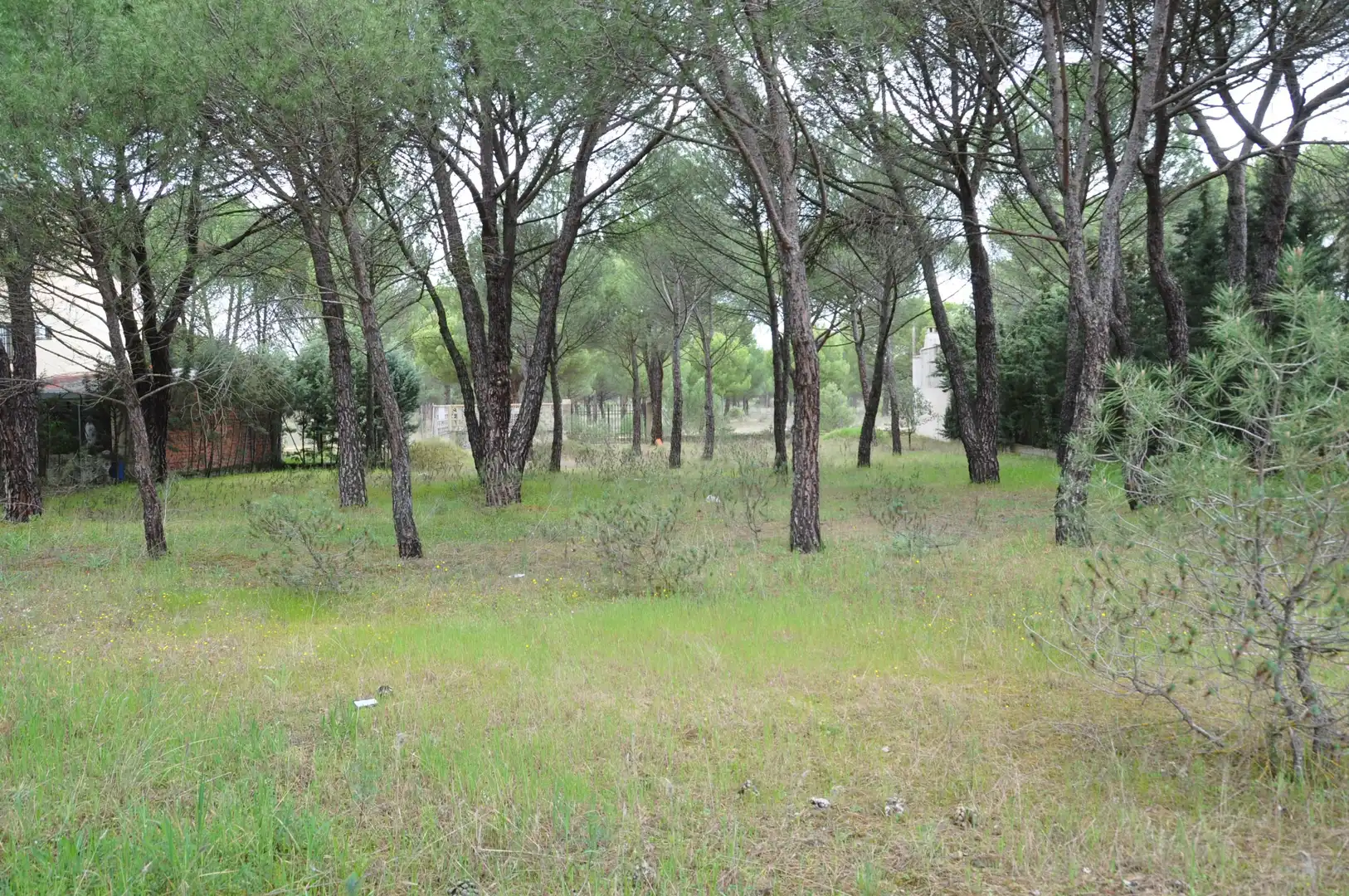 Residential zum Verkauf in Tudela de Duero