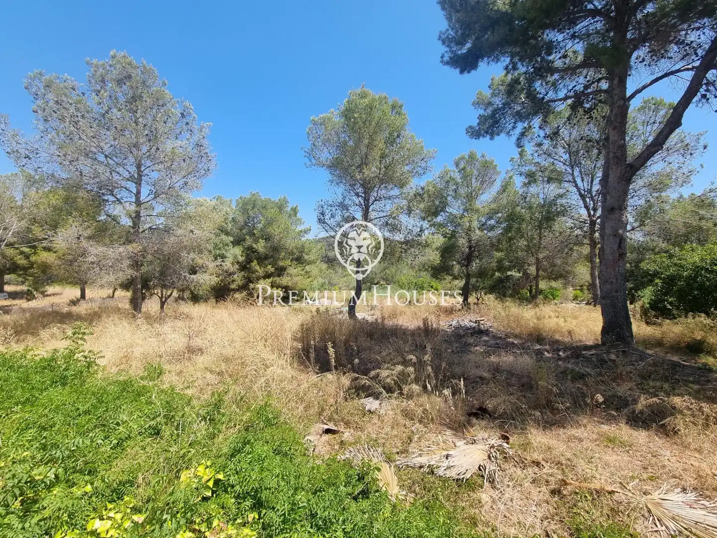Terrain rustique à vendre à Vallpineda - Rocamar, imagen 8