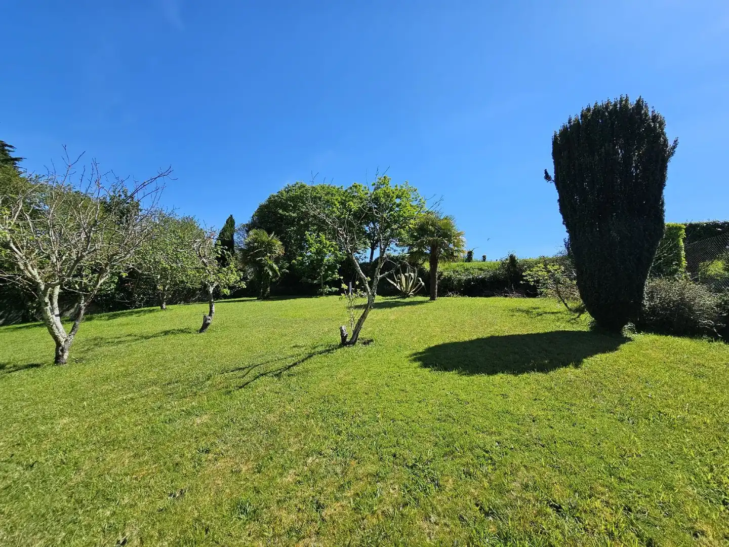 Garden of Houses for sale in Sada (A Coruña)  with Private garden
