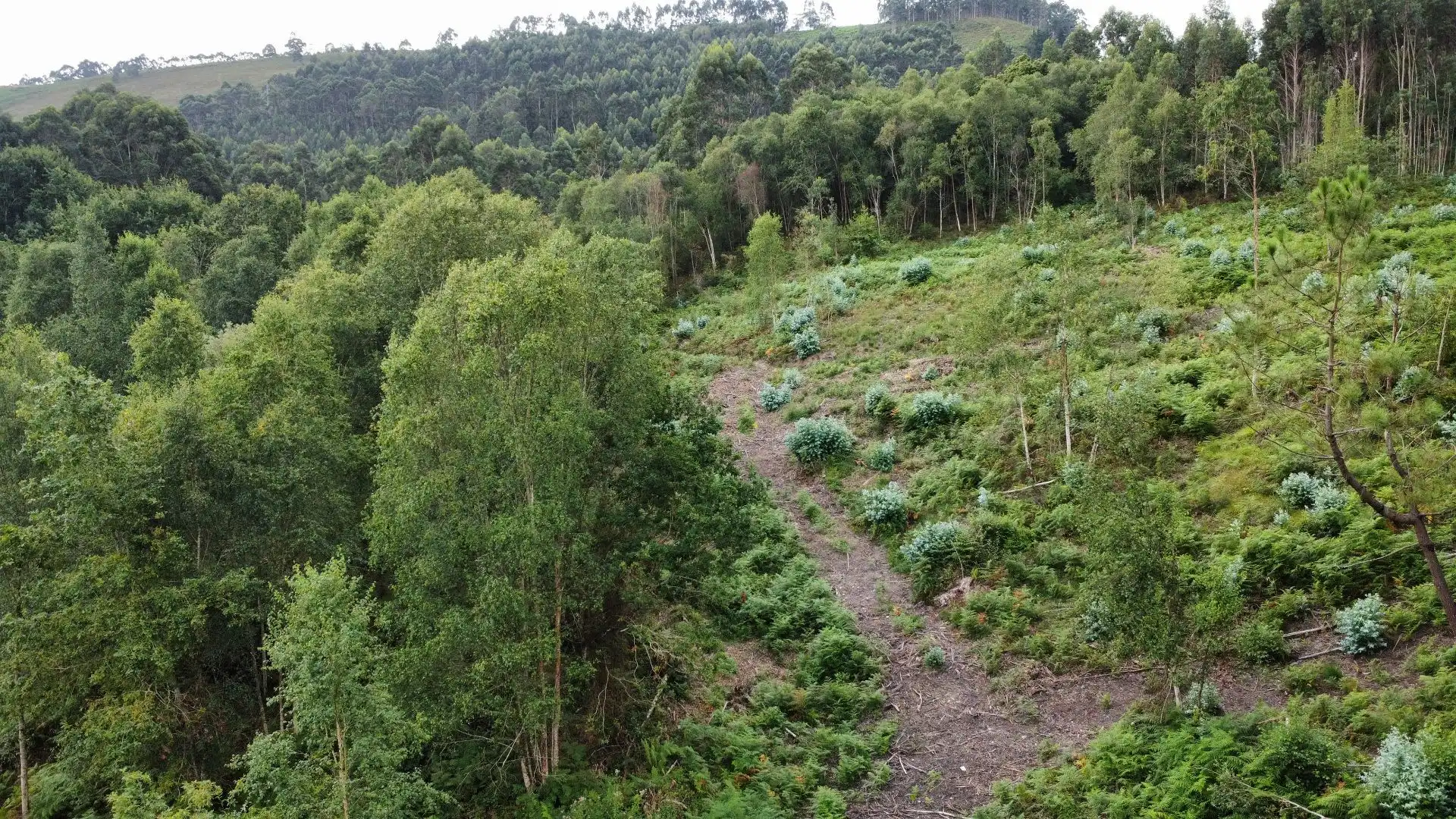Terreno rustico in vendita a Pría - Nueva-Hontoria - Naves, imagen 22