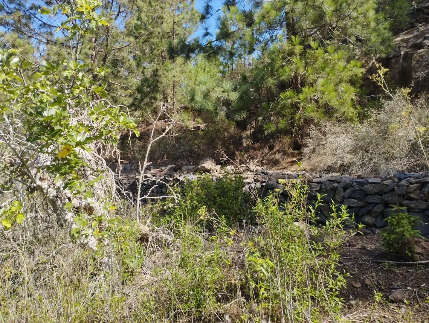 Residencial en venda en Vilaflor de Chasna