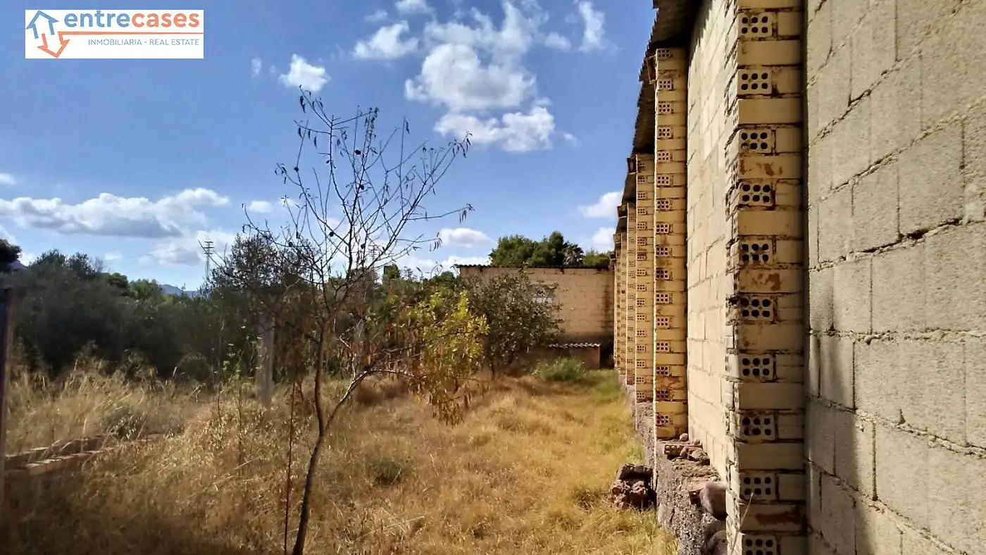 Rural land for sale in Albalat dels Tarongers, imagen 21