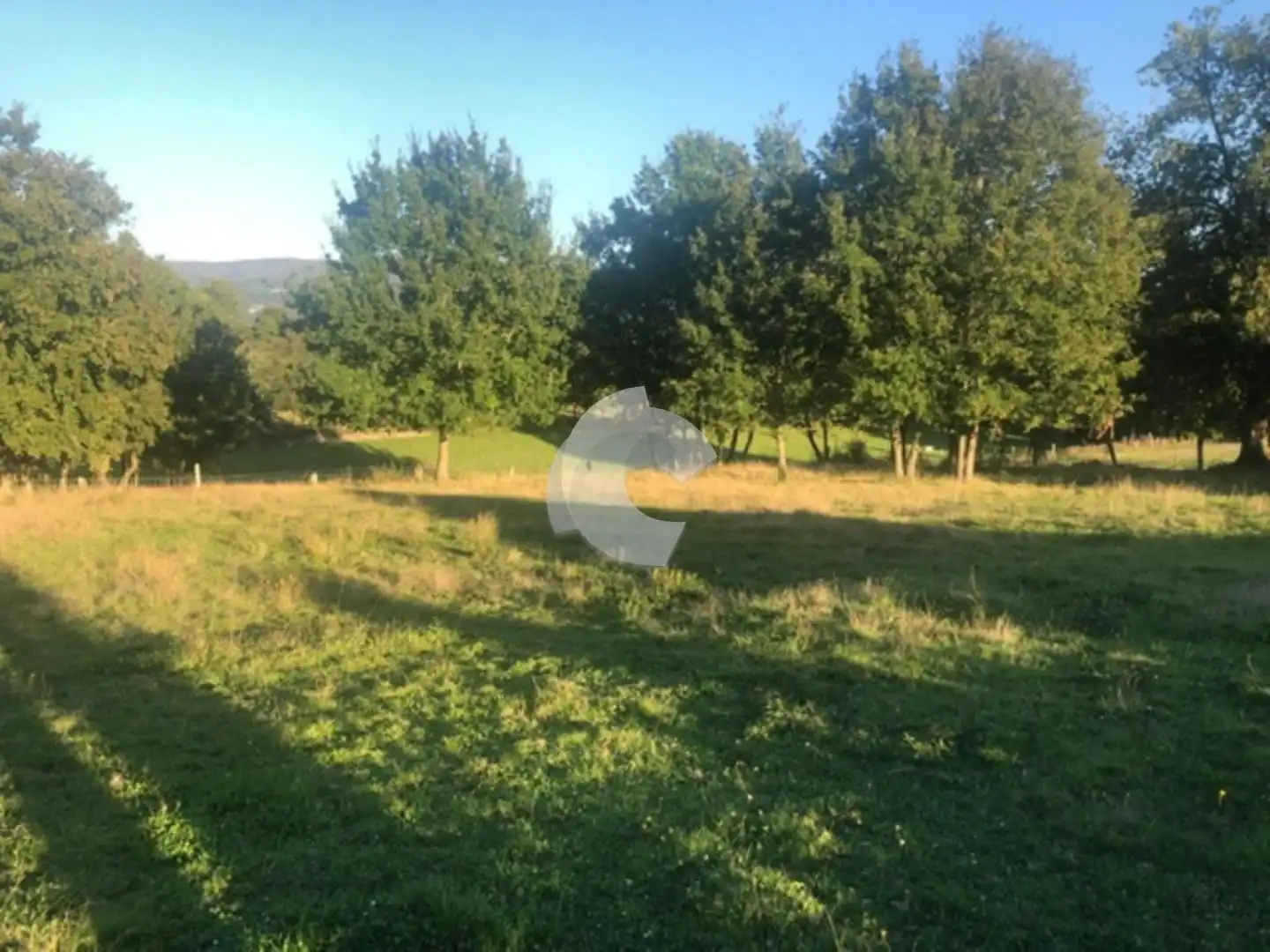 Terreni e lotti in vendita a Nogueira de Ramuín, imagen 3