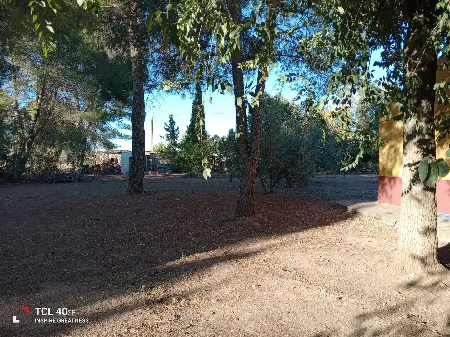 Casa o xalet en venda en Membrilla amb Aire condicionat, Jardí privat i Parquet