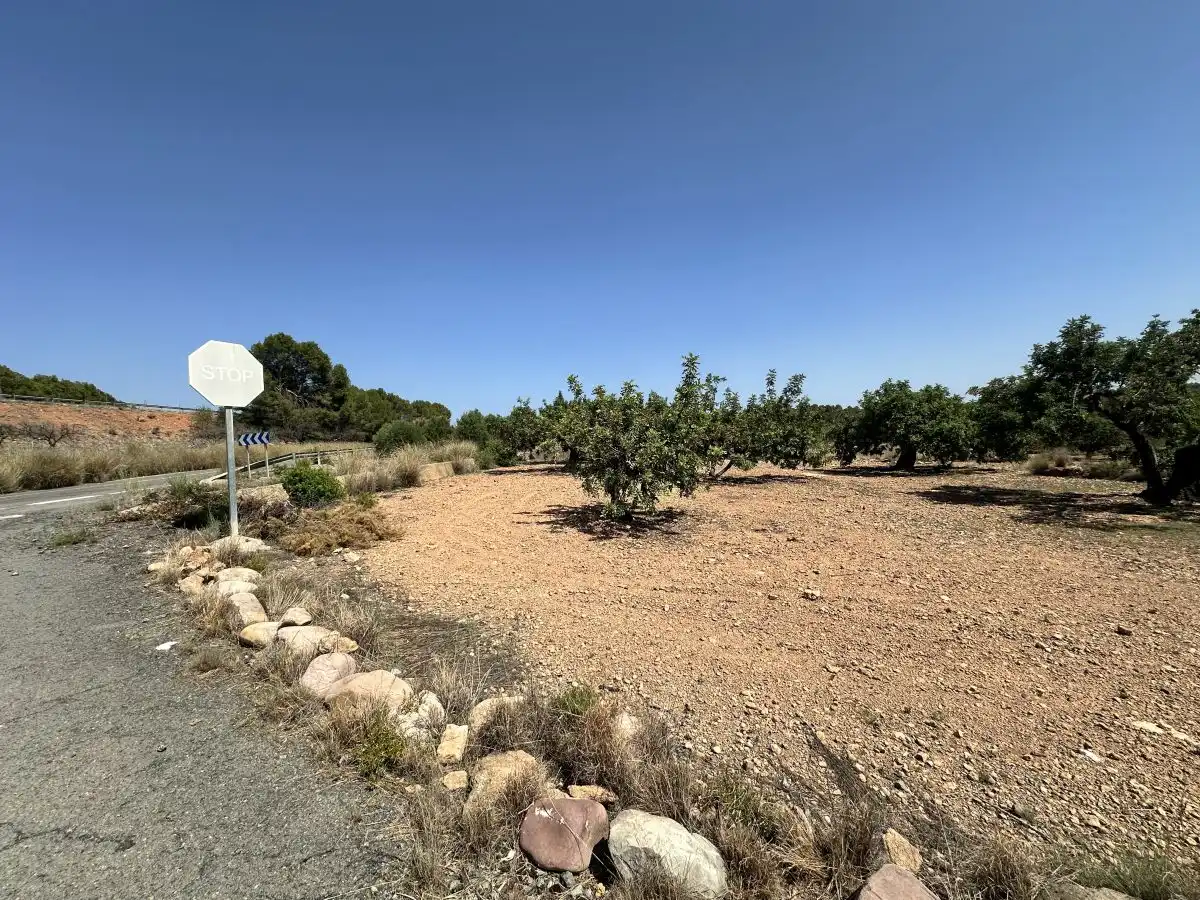 Terreno residencial en venta en Alfara de la Baronia, imagen 4