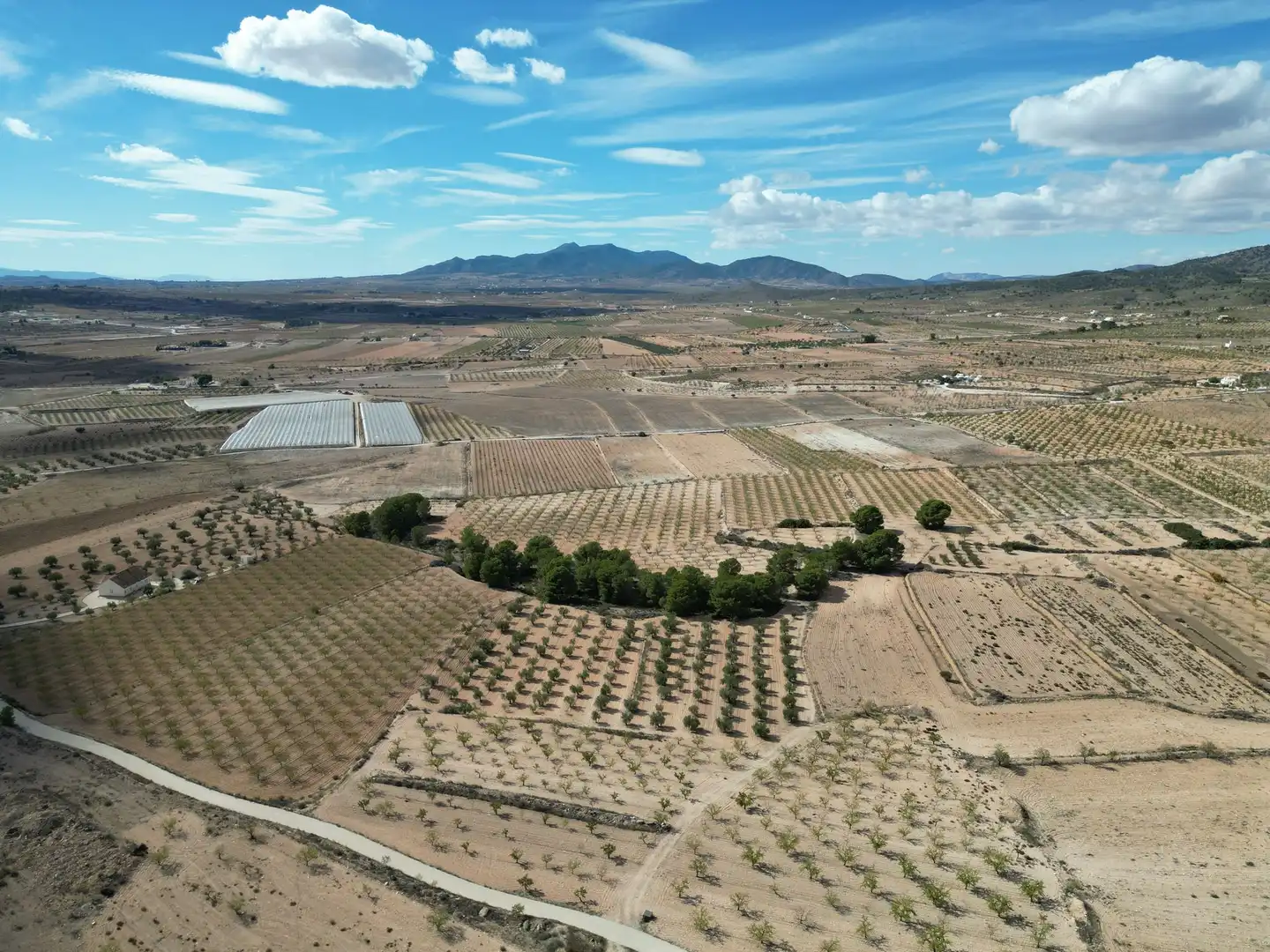 Terreno residencial en venta en El Pinós / Pinoso, imagen 19