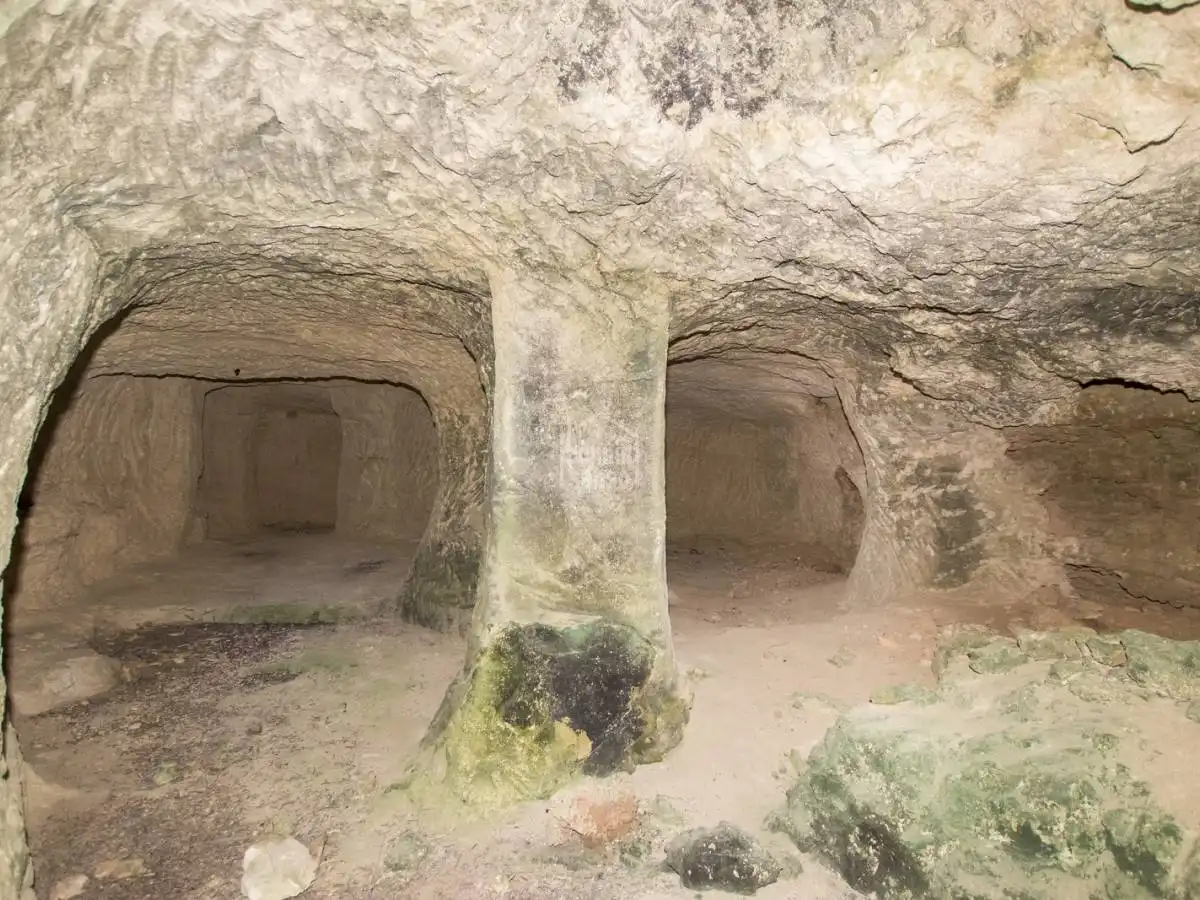 Casa rústica amb jardí en venda a Sant Climent - Es Canutells, imagen 51