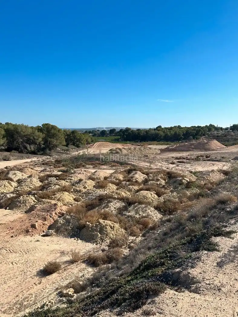 Terrain rustique à vendre à Camino de Catral 31, imagen 16