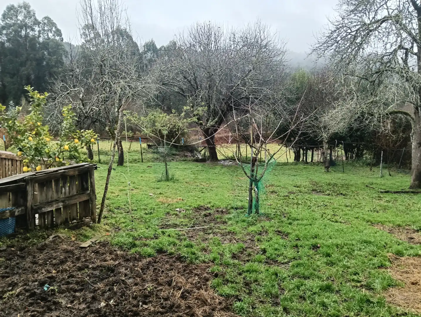 Adossat amb jardí en venda a Oza dos Ríos, imagen 14