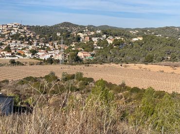 Terreno residencial en venta en Mas Trader - Corral d'En Tort - Corral d'En Cona