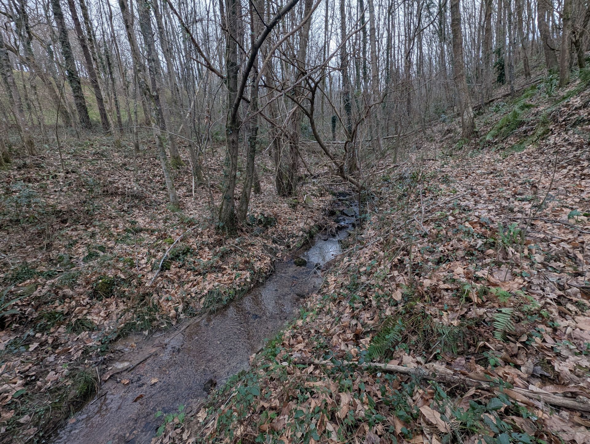 Terreno en venta en Oiartzun