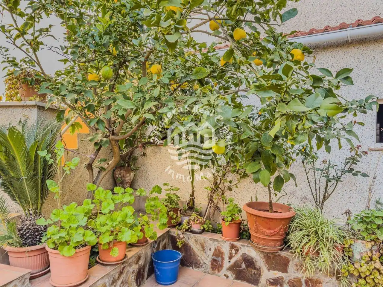 Jardí de Casa o xalet en venda en Terrassa amb Aire condicionat, Calefacció i Terrassa