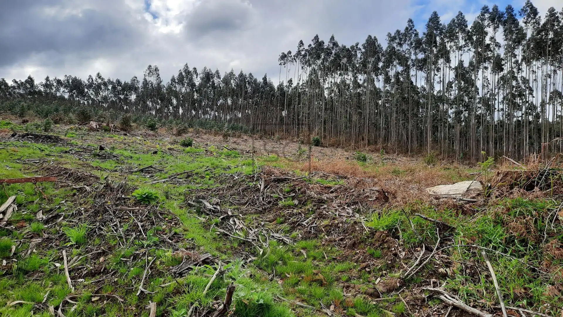 Terreno residenziale in vendita a Calle Bidueda, imagen 7