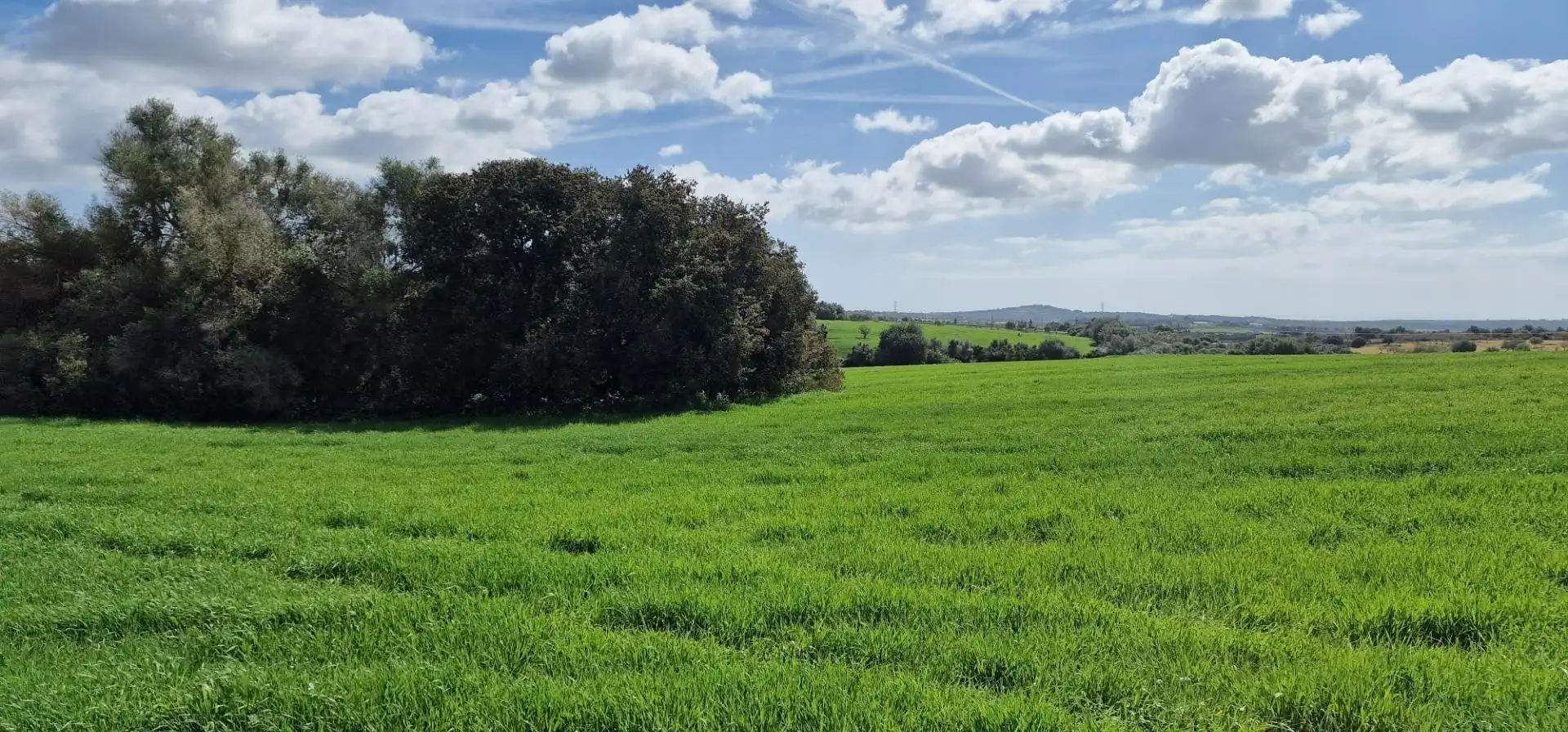 Country homes for sale in Manacor