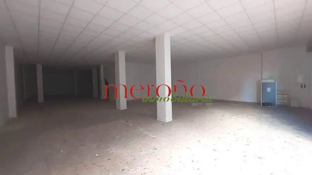 Commercial properties for rent in Elche / Elx