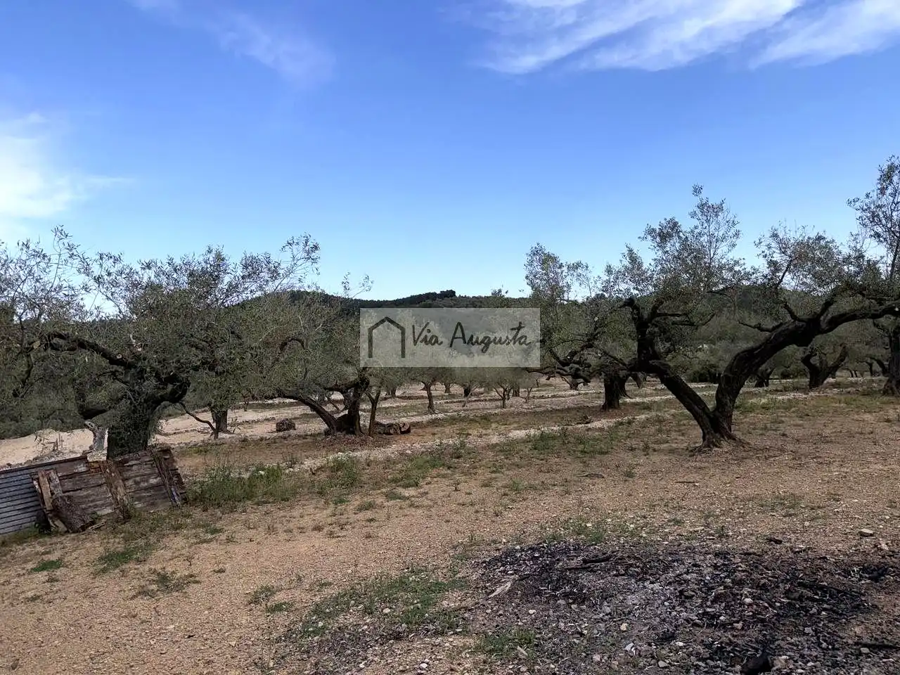 Country homes for sale in Tortosa