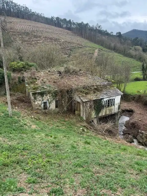 Vista exterior de Finca rústica en venta en Castropol