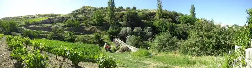 Garden of Country homes for sale in Monachil  with Air Conditioner, Heating and Terrace