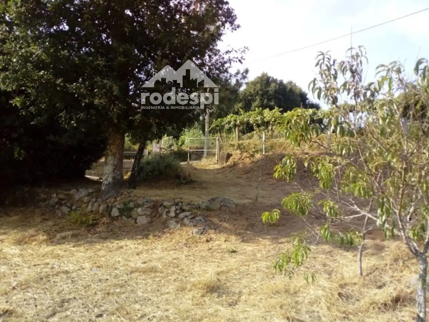 Terreny rústic en venda a Crecente, imagen 5