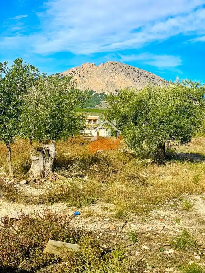 Casa rústica en venda a Vélez-Rubio, imagen 2