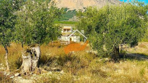 Finca Rúst. en venta en VélezRubio., immagine 2