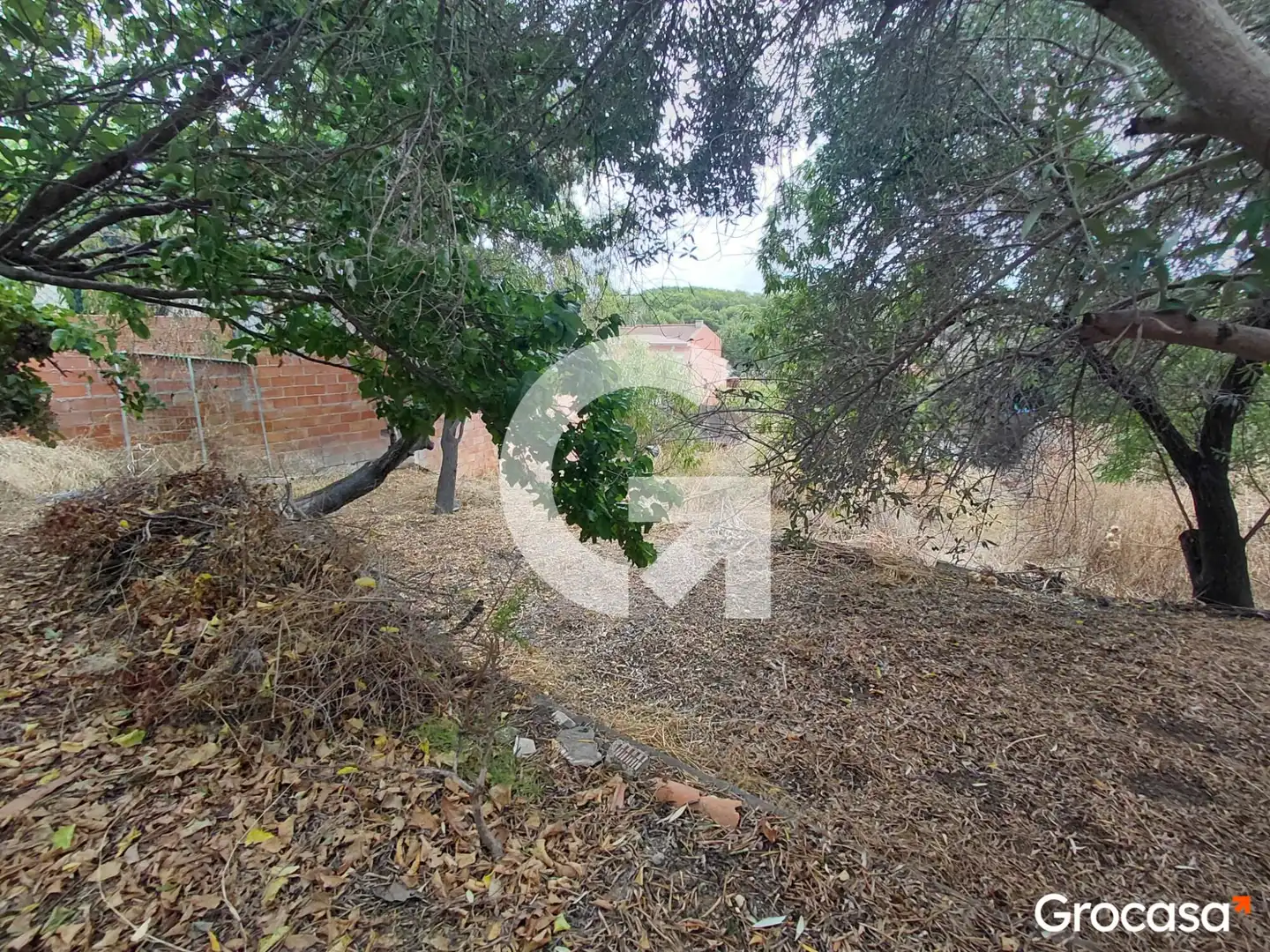 Terrenos y solares en venta en CL LLEO