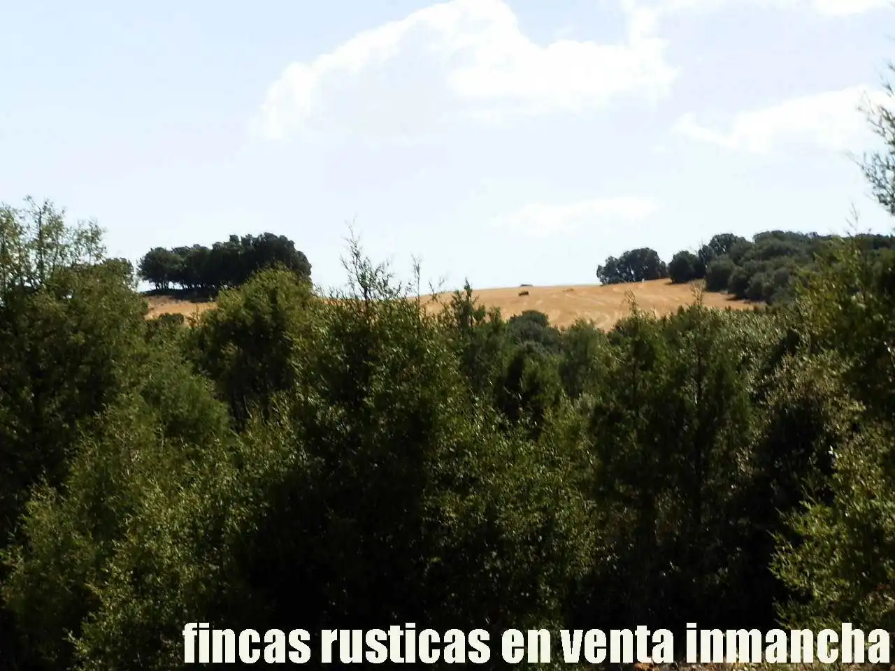 Terreni e lotti in vendita a Munera, imagen 12