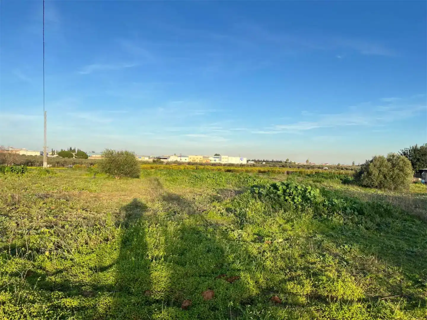 Terreno en venta en Benacazón