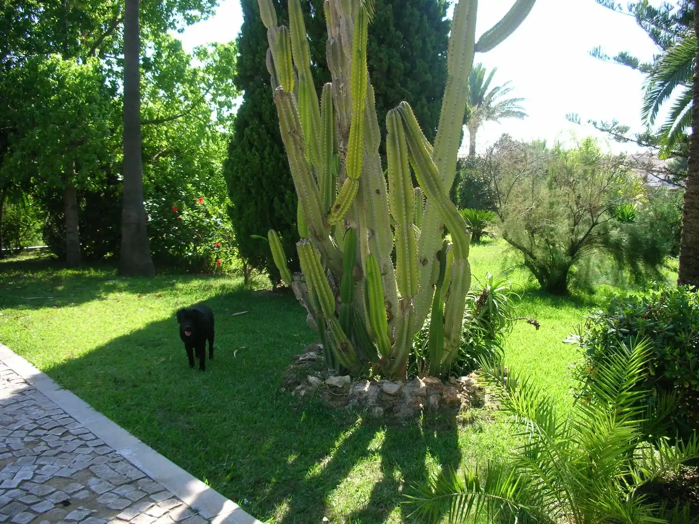 Xalet amb jardí en venda a GUADASSUAR 37, imagen 3