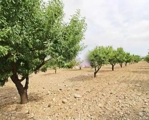 Terreni e lotti in vendita a Pedanías Sur, imagen 8