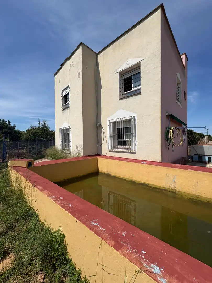 Exterior view of Country homes for sale in Alzira  with Private garden, Terrace and Swimming Pool
