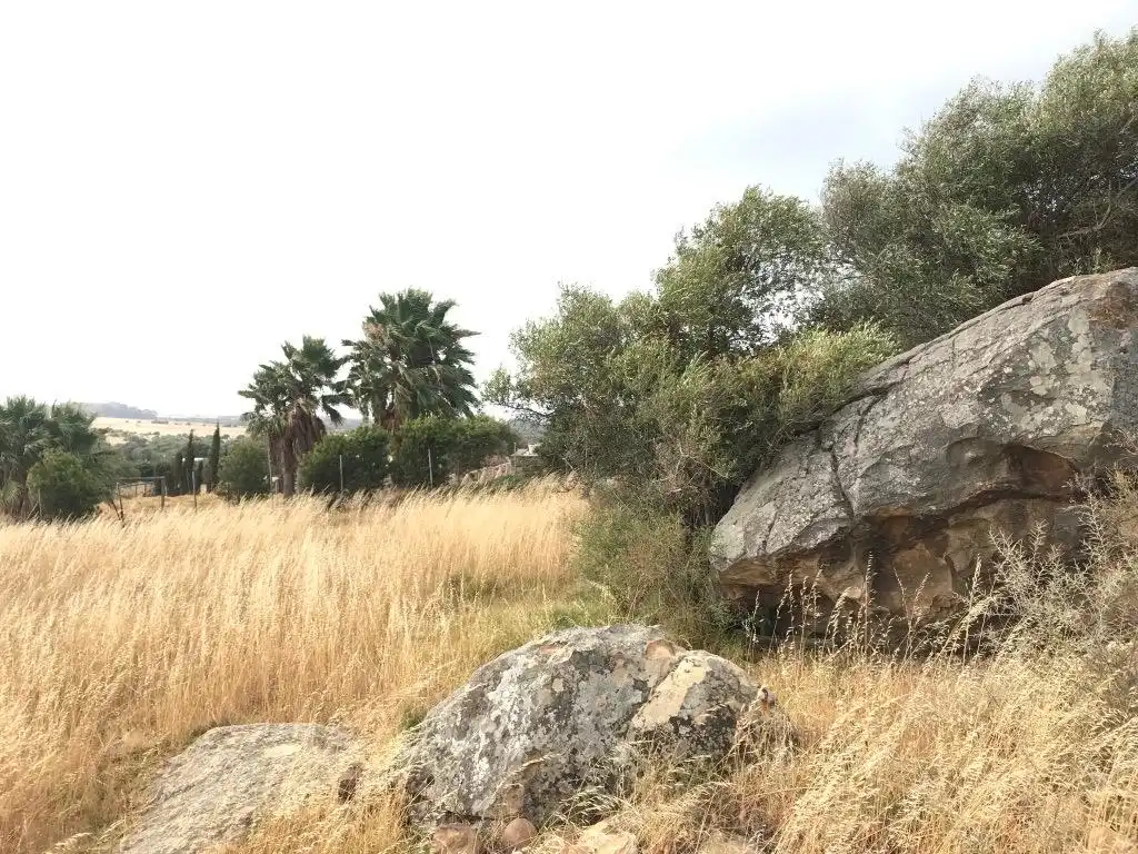 Terreny rústic en venda a Calle Dehesa de la Peña 18, imagen 2