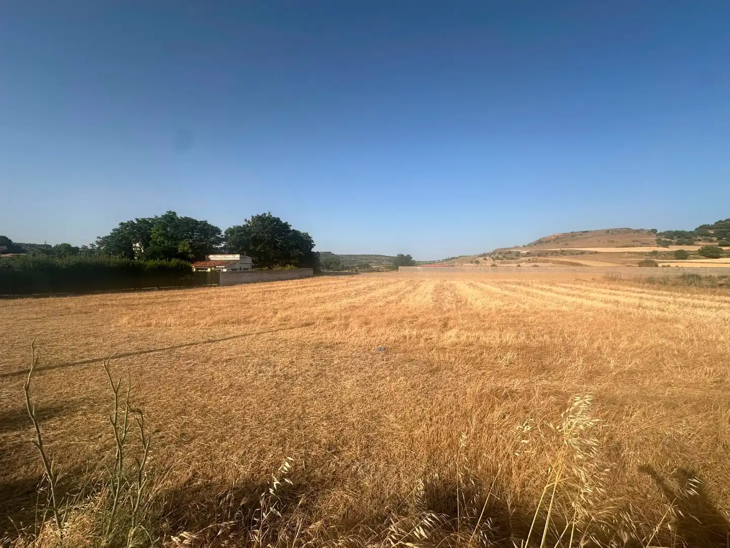 Terreno rustico in vendita a Chinchón