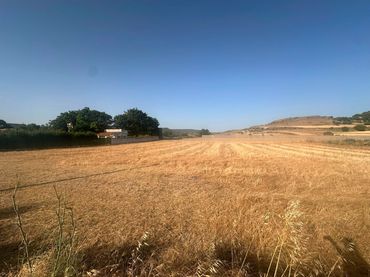 Terreno rustico in vendita a Chinchón