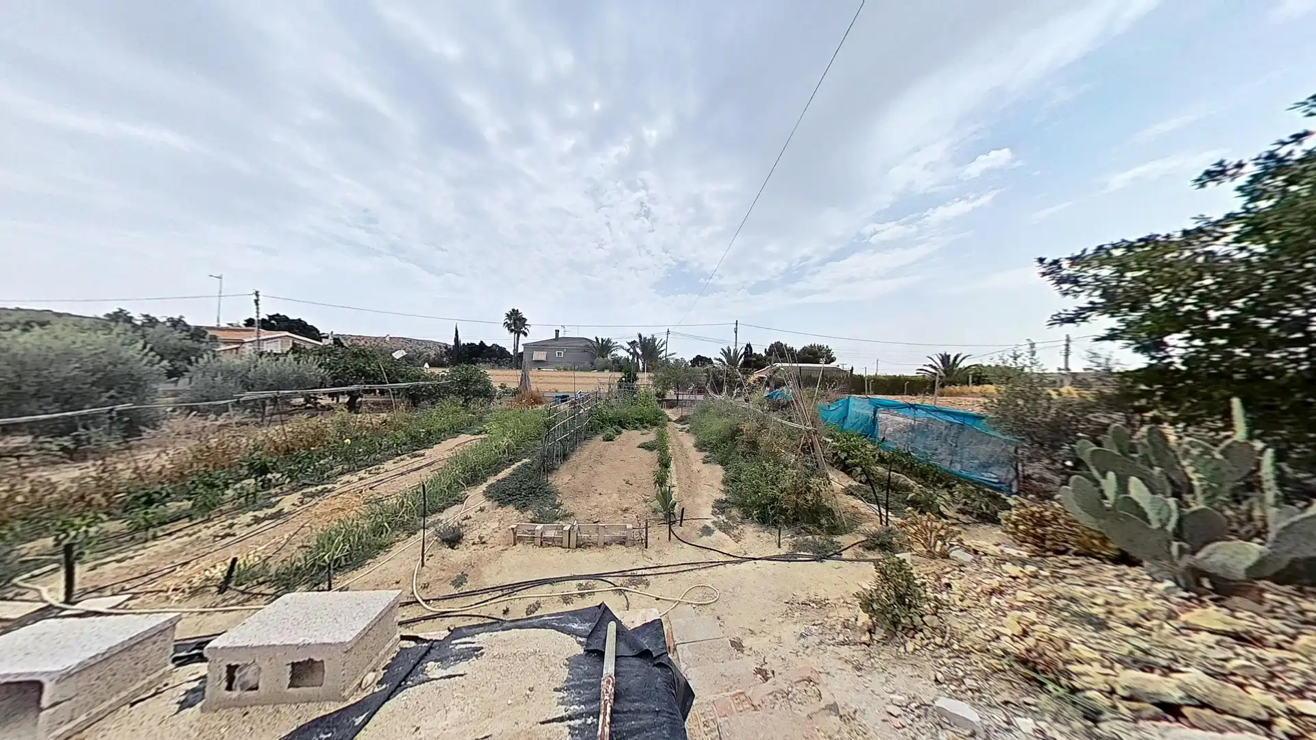 Casa o xalet en venda en Elche / Elx amb Terrassa
