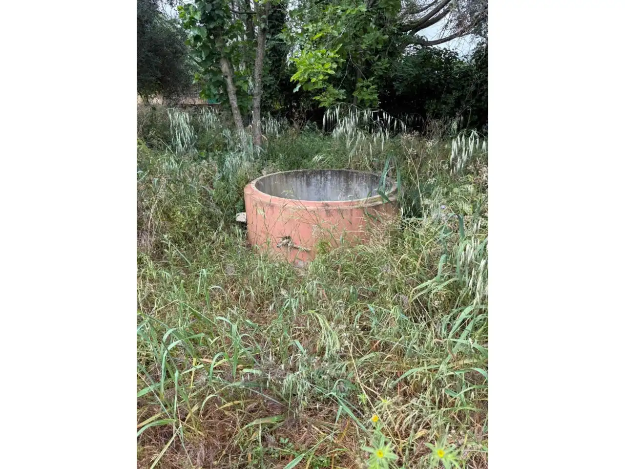 Chalet con jardín en venta en Urbanizacion Tres Palmeras, imagen 10