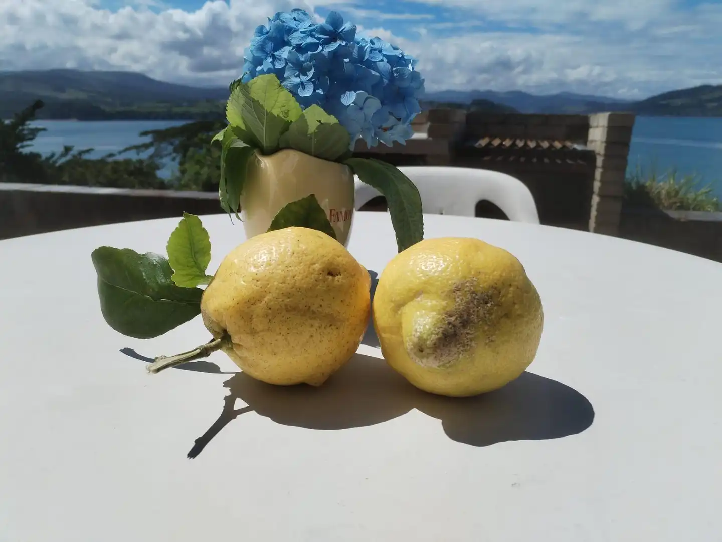 Garden of Houses for sale in Castropol  with Private garden, Terrace and Storage room