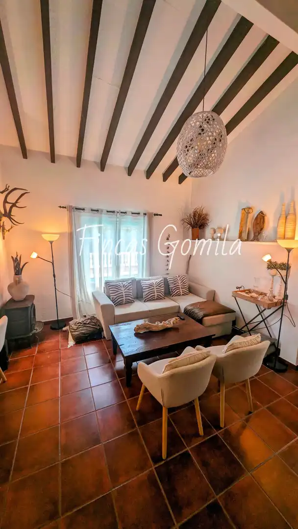Sala de estar de Casa o chalet en venta en Es Mercadal con Jardín privado y Terraza
