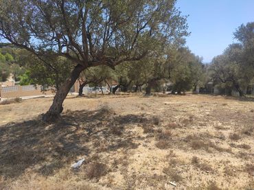 Terreny residencial en venda a Oceano 17