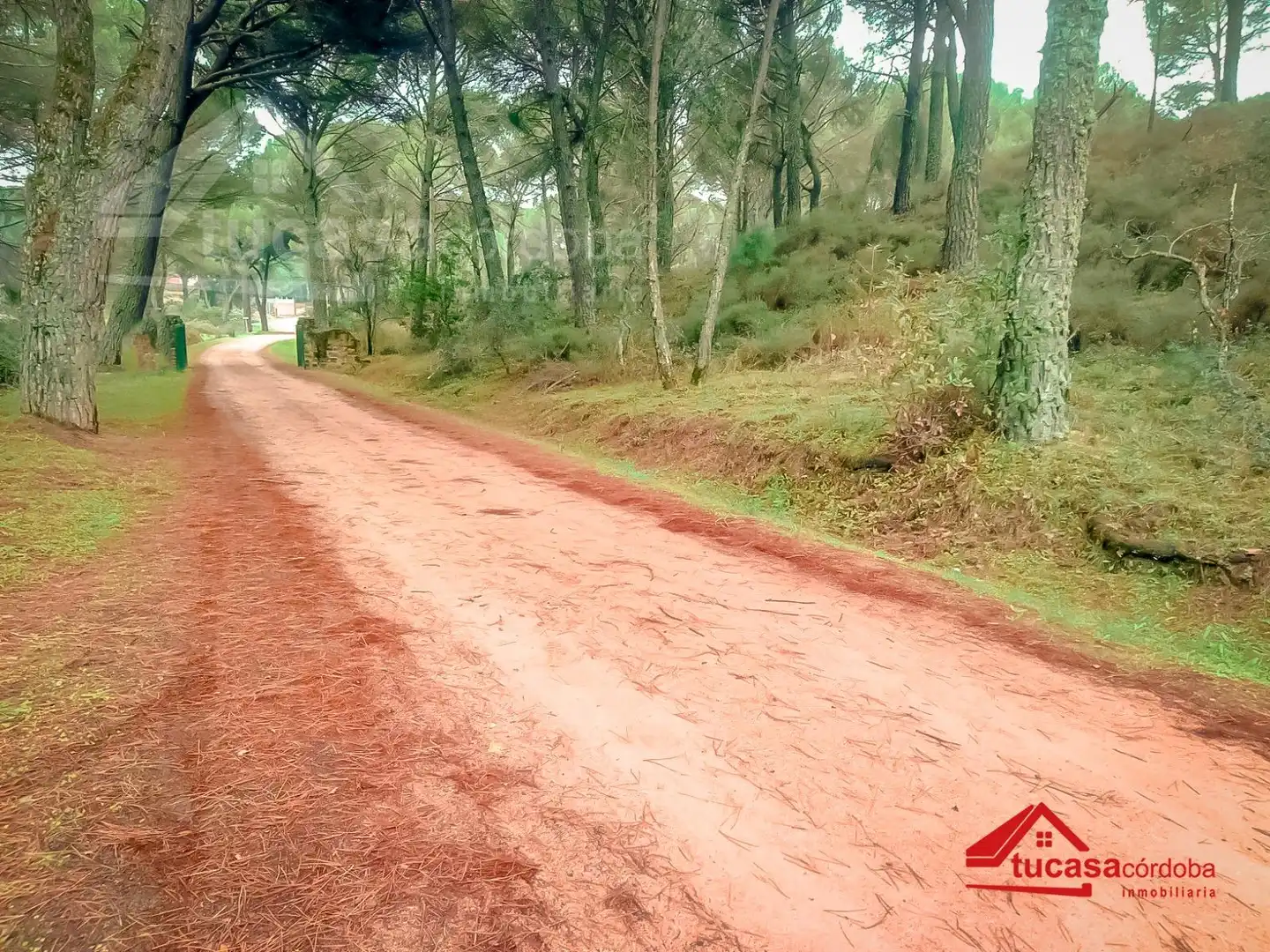 Grundstücke und Bauplätze zum Verkauf in Periurbano Oeste - Sierra, imagen 2