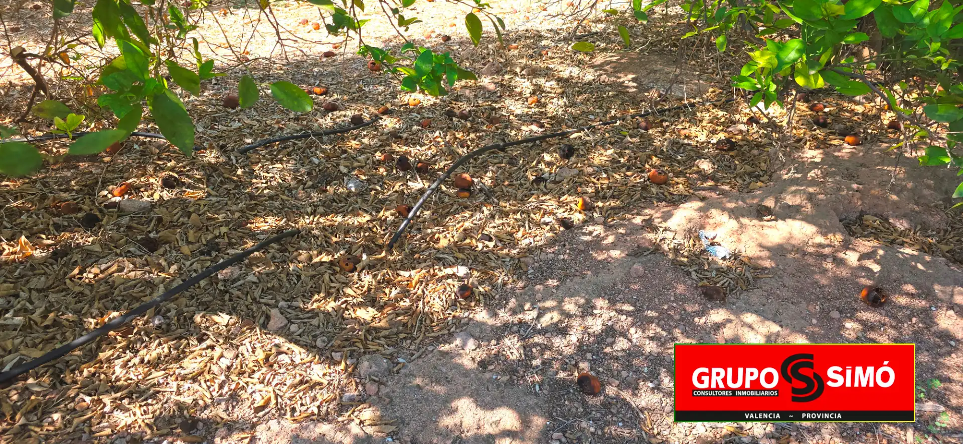 Terreno en venta en Náquera