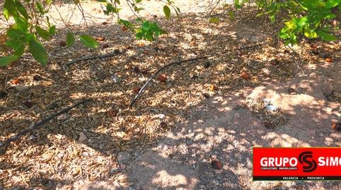 Photo 5 of Land for sale in Polígono 14, 292, Corralet - Bonanza - Tres Rutas, Náquera