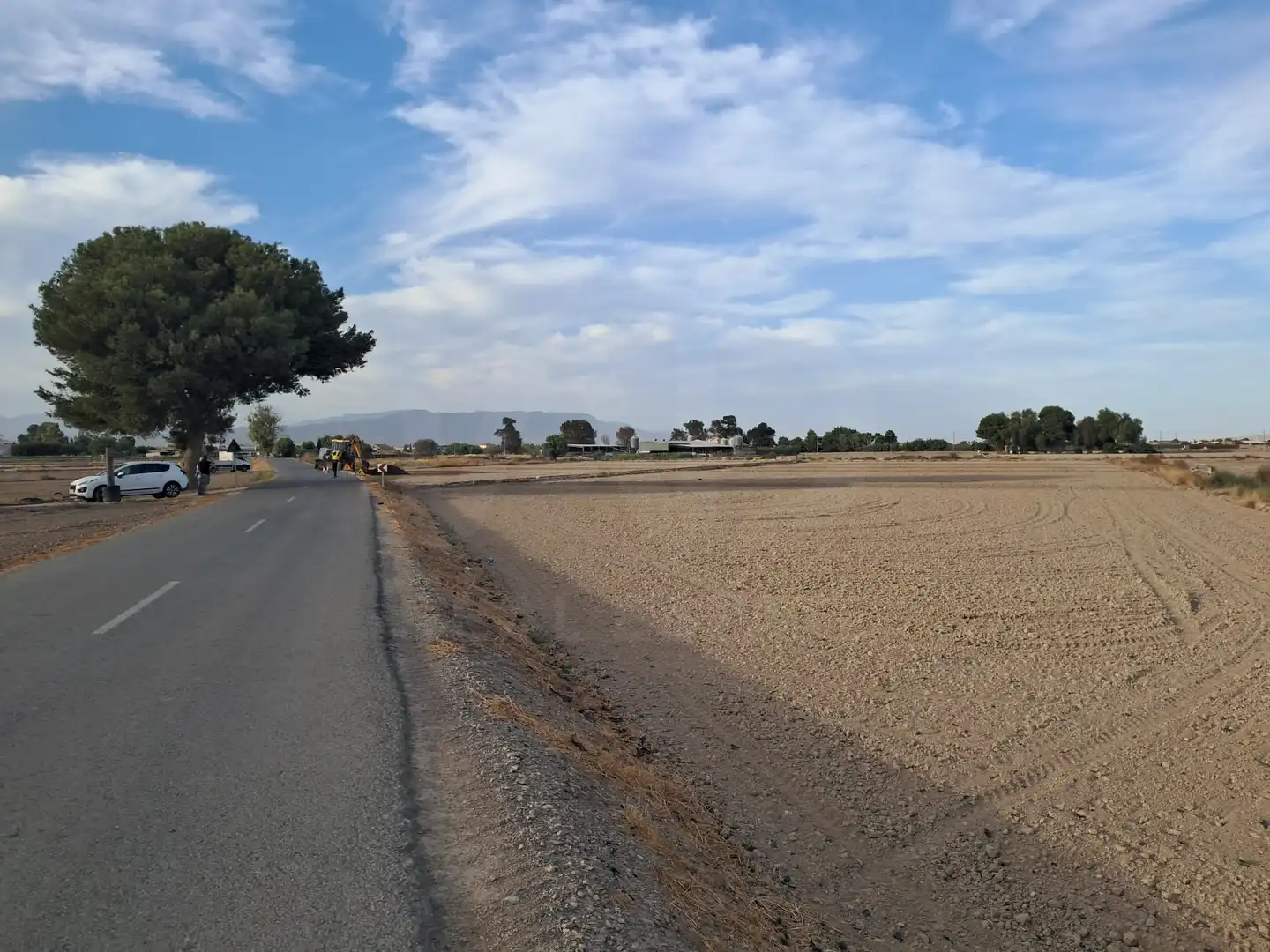 Lands and plots for sale in Pedanías Centro, imagen 16