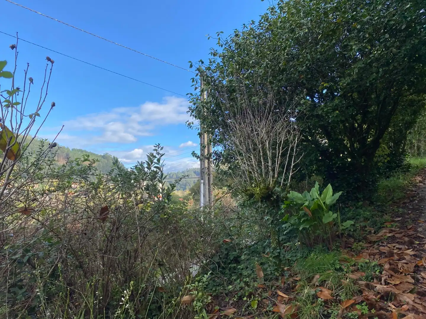 Vista exterior de Casa o chalet en venta en Caldas de Reis