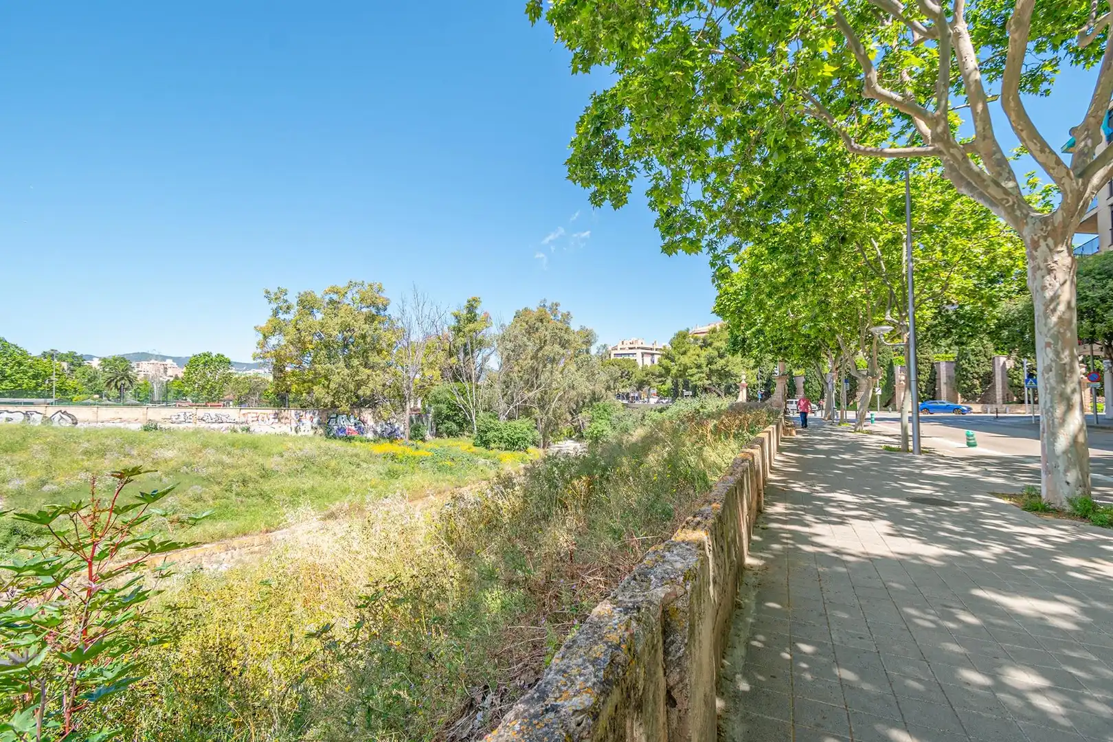 Vista exterior de Pis en venda en  Palma de Mallorca amb Aire condicionat, Calefacció i Terrassa