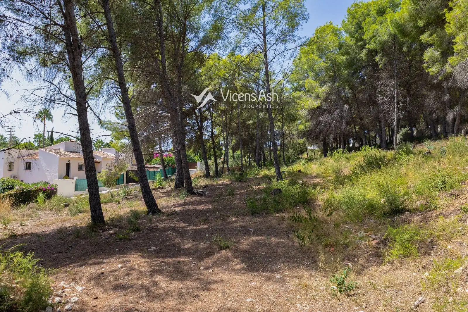Rural land for sale in dels Castellans, imagen 10