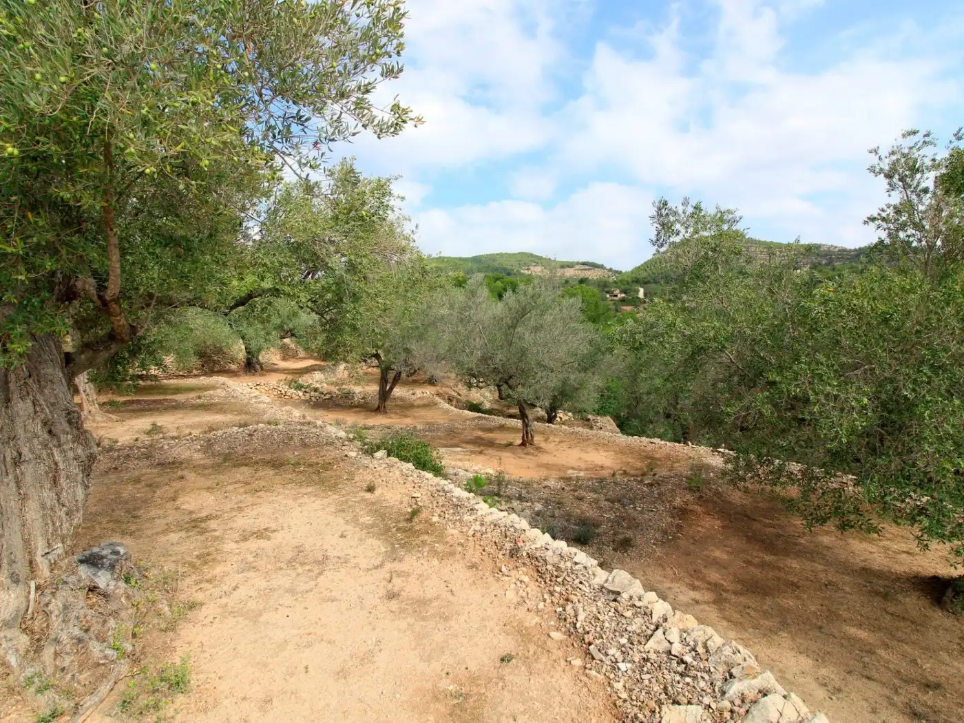 Maison rustique à vendre à El Perelló, imagen 16