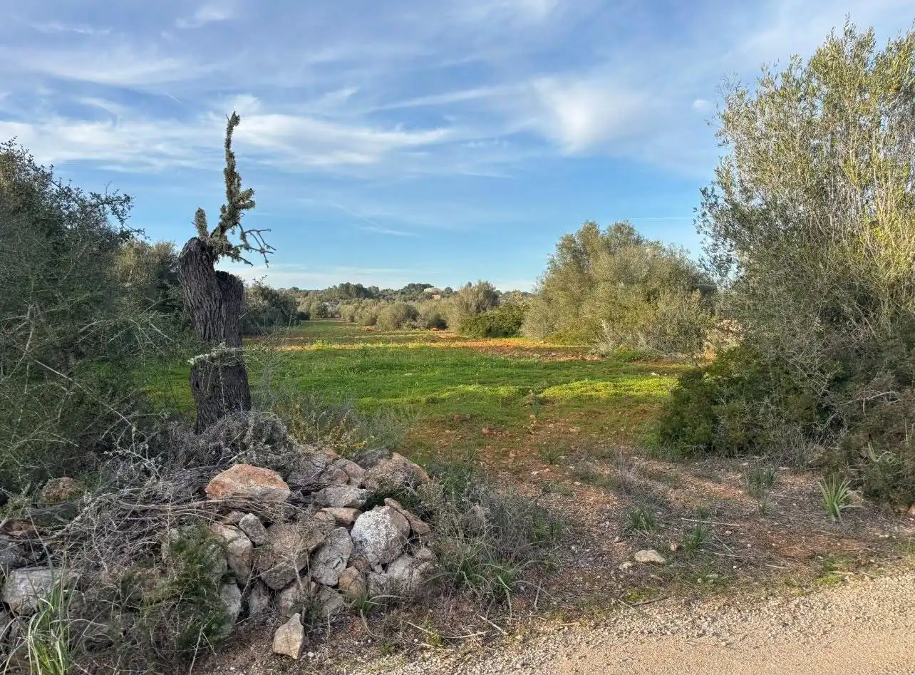Terreny residencial en venda a Ses Salines Poble, imagen 8